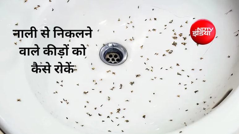 नाली से निकलने वाले कीड़ों को कैसे रोकें?  नाली के कीड़े मारने के लिए कौन सी दवा है