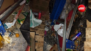FSSAI की बड़ी कार्रवाई, 5 स्टार होटल और इंदिरा कैंटिन के बाद अब Zepto के ठिकानों पर छापा