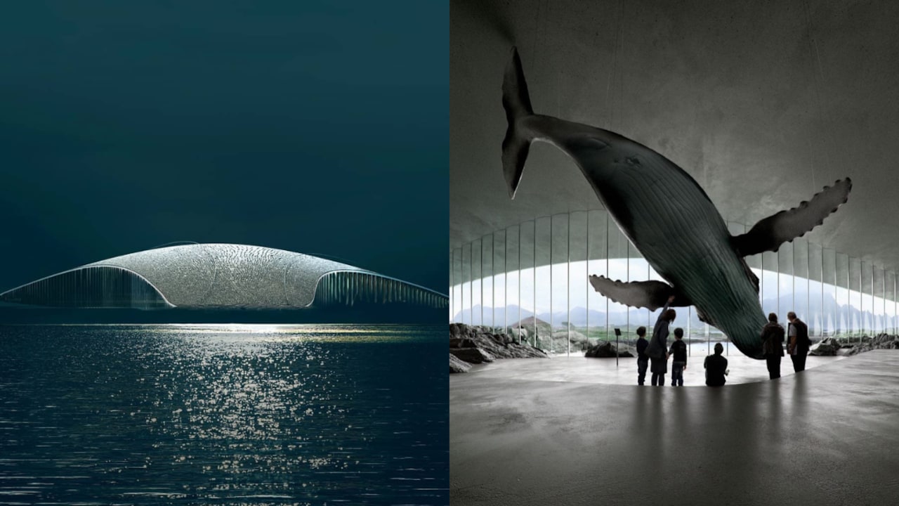 Norway Is Building A Whale-Shaped Attraction On The Edge Of The Arctic Ocean
