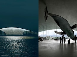 Norway Is Building A Whale-Shaped Attraction On The Edge Of The Arctic Ocean