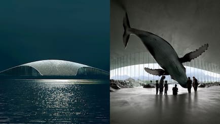 Norway Is Building A Whale-Shaped Attraction On The Edge Of The Arctic Ocean