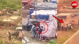 सतीश मराठा हत्याकांड: तलवार-कुल्हाड़ी से 39 वार, सामने आया वारदात का VIDEO