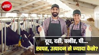 देश में दूध का उत्&zwj;पादन सिर्फ 248 मिलियन टन, खपत इससे कहीं ज्&zwj;यादा, कैसे पूरी हो रही डिमांड?