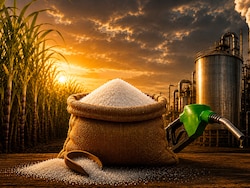 Explained: Why Sugar Is Suddenly Getting Costlier