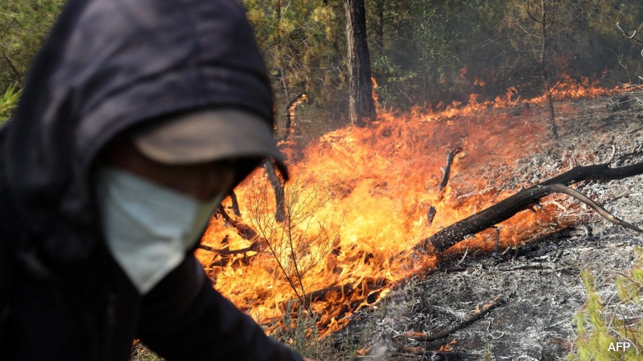 12 Killed, Dozens Injured In Algeria Wildfires