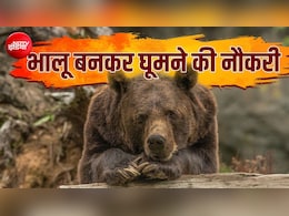 चिड़ियाघर में भालू बनकर घूमने की नौकरी, 14 लाख रुपये तक मिलेगी सैलरी