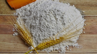 Government Amends Wheat Flour Export Policy To 'Free' From 'Prohibited'