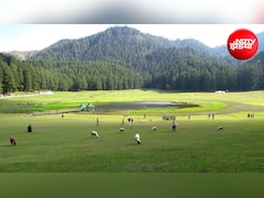 Khajjiar Travel: शहर के शोर से दूरी बना... पहाड़ों में क्यों बस रहा लोगों का मन, जंगलों में ढूंढ रहे सुकून