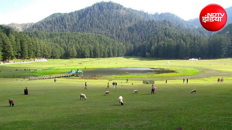 Khajjiar Travel: शहर के शोर से दूरी बना... पहाड़ों में क्यों बस रहा लोगों का मन, जंगलों में ढूंढ रहे सुकून