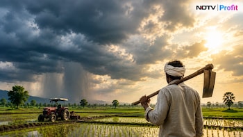 Monsson Deficit Narrows, Kharif Sowing Recovers; Macquarie Sees Limited Crop Risk
