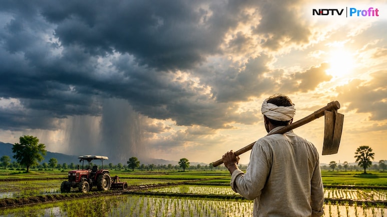 Monsoon Deficit Narrows, Kharif Sowing Recovers; Macquarie Sees Limited Crop Risk