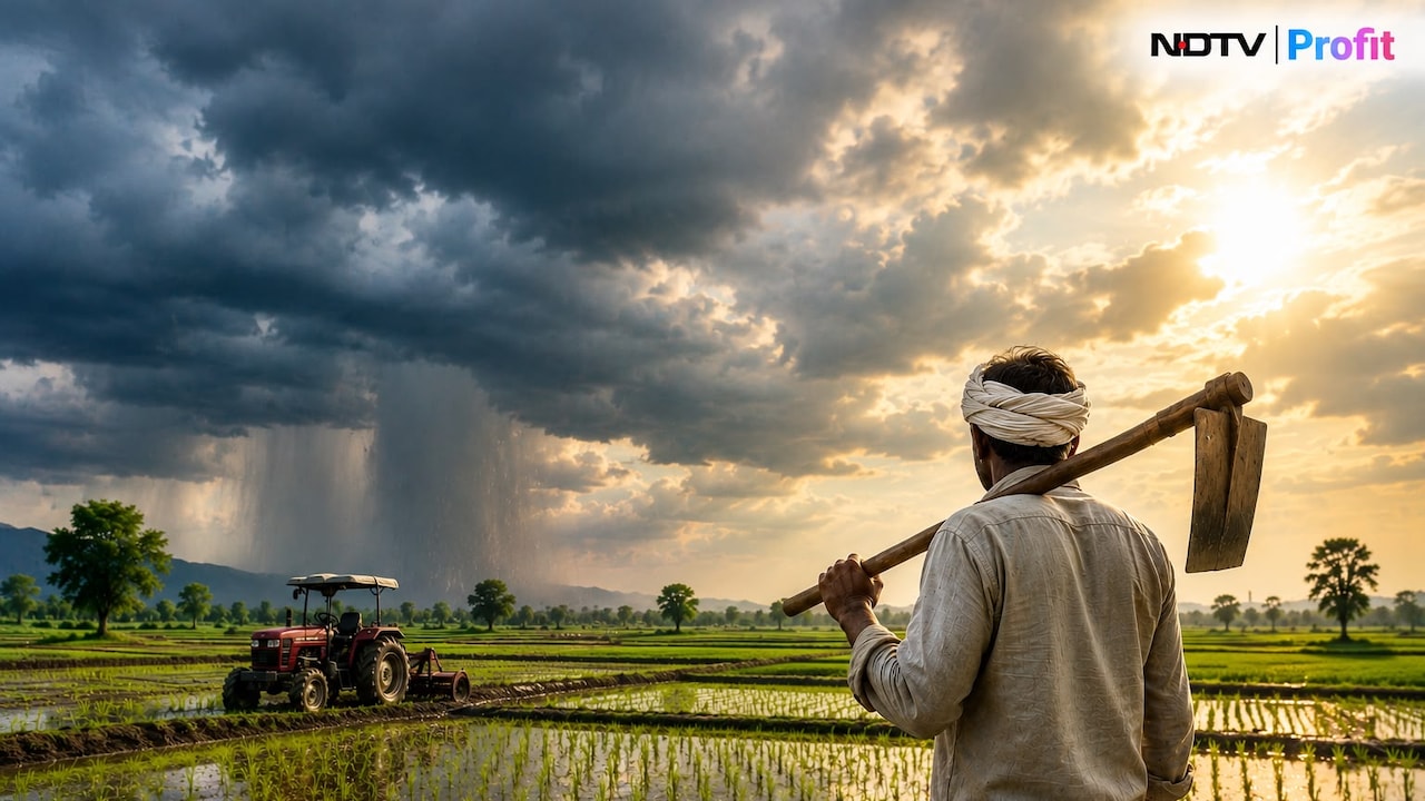 Monsoon Deficit Narrows, Kharif Sowing Recovers; Macquarie Sees Limited Crop Risk