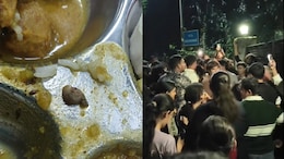 Worms In Hostel Meal Trigger Students' Protest At Doon University