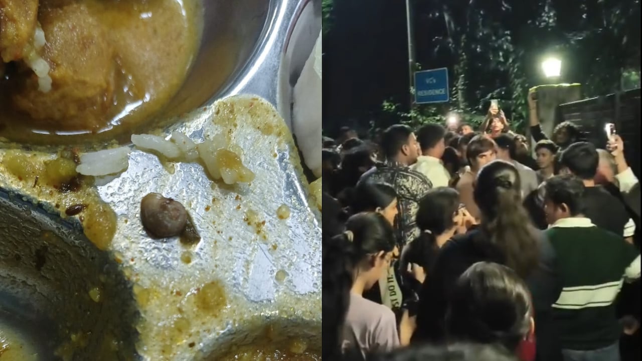 Worms In Hostel Meal Trigger Students' Protest At Doon University