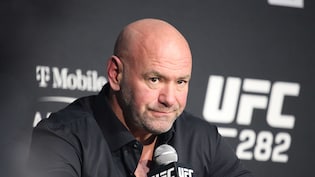 "Shut The F*** Up And Watch": Dana White's Alex Pereira Announcement Takes Unexpected Turn On Nina Drama's Stream