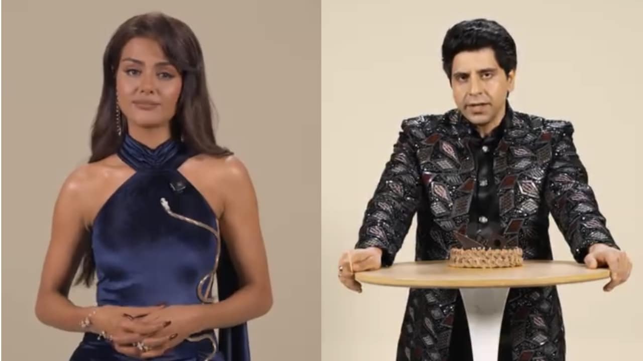 Rise And Fall 2: Shehzad Poonawalla Calls Priyanka Chahar Choudhary 'Gold Digger', Actor Threatens To Slap Him