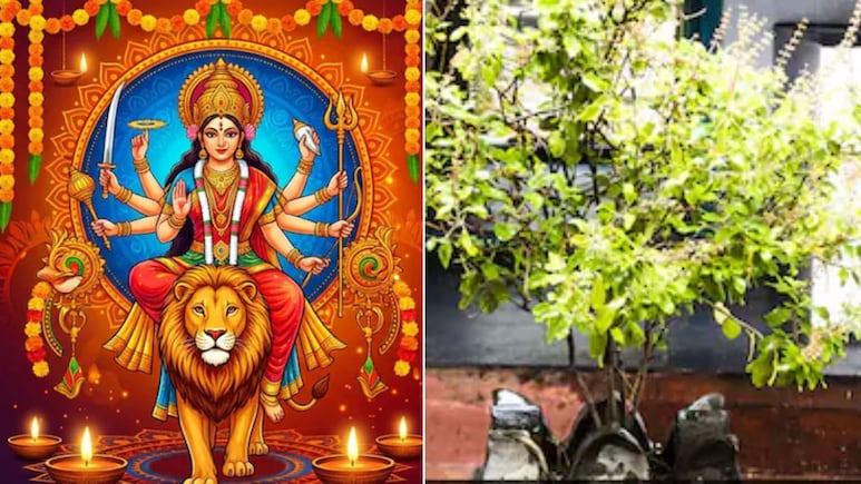 नवरात्रि में तुलसी के पौधे को लेकर क्या नियम हैं? जानें क्या करें और क्या न करें