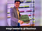 From Rs 90 Lakh Salary To Farming: How Chandigarh Man Built A Rs 1.44 Crore Microgreens Business