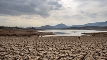 India Rainfall 24% Below Normal As Of Sept 4; Kerala, Karnataka, Telangana Among Worst-Hit States