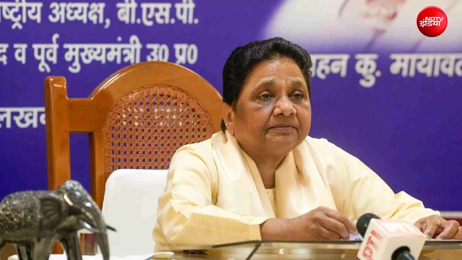 उत्तर प्रदेश में हाथी की सुस्ती से किसे फायदा, क्या किसी रणनीति पर चल रहे राहुल गांधी?