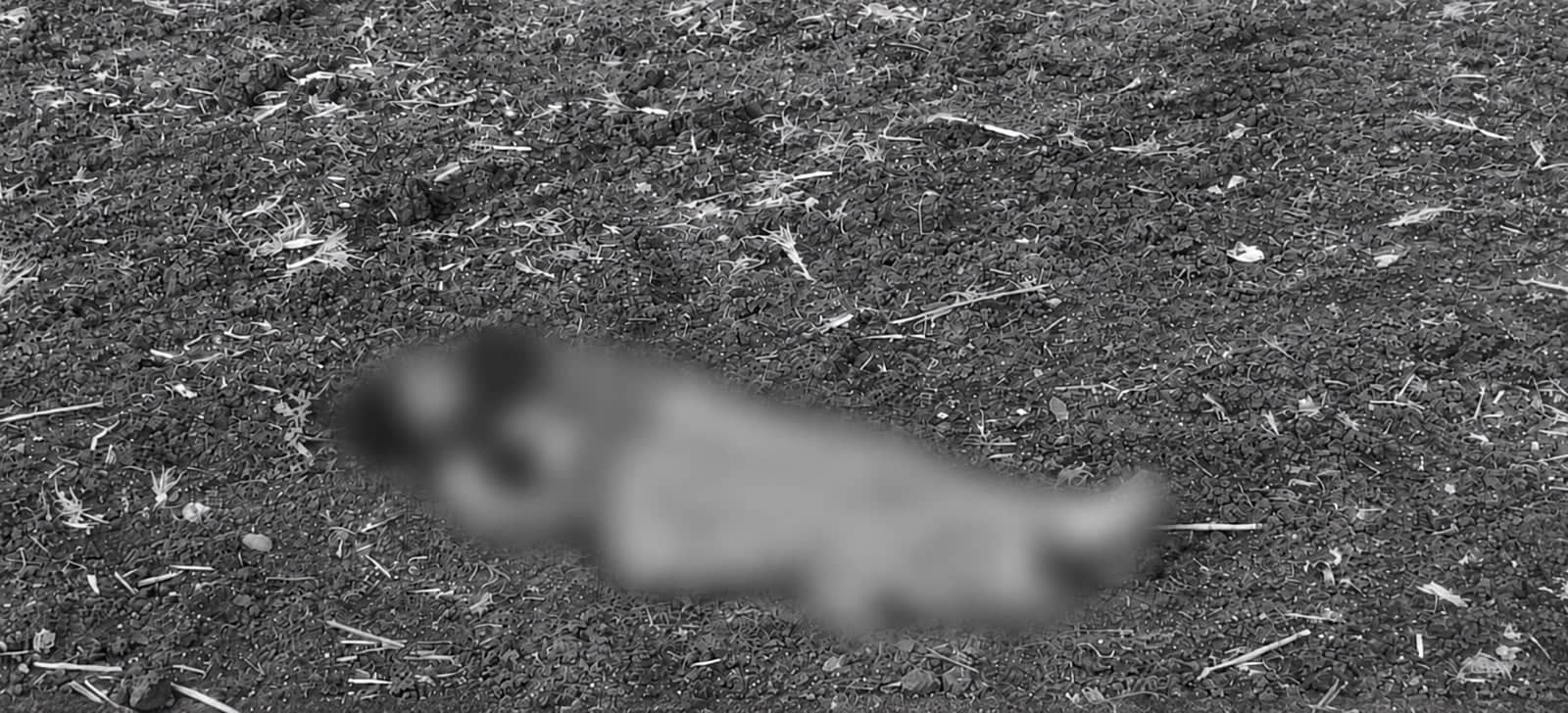 मां के ऊपर लेटा हुआ मासूम बच्चा