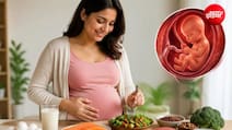 प्रेग्नेंसी में 'दो लोगों का खाना' काफी नहीं! प्रोटीन क्यों है सबसे जरूरी न्यूट्रीएंट?