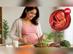 प्रेग्नेंसी में 'दो लोगों का खाना' काफी नहीं! प्रोटीन क्यों है सबसे जरूरी न्यूट्रीएंट?