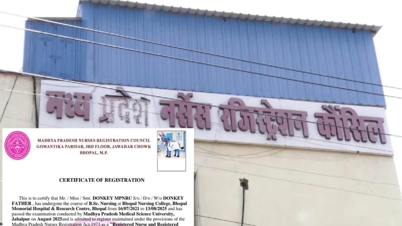 एमपी में गधे के नाम नर्सिंग रजिस्ट्रेशन का दावा, NDTV के खुलासों के बाद भी नहीं सुधरा सिस्टम