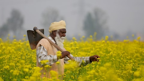Story image
