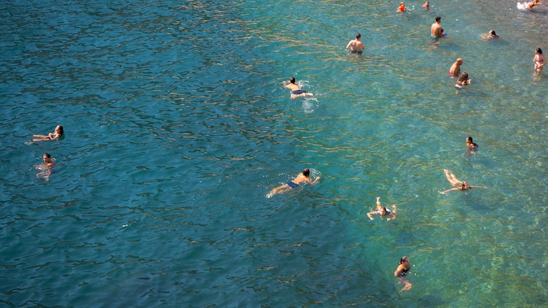 Swimming In The Sea Or Ocean Is Better For You Than In A Pool: Study