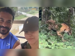 Tiger Safaris To Luxury Stays: How To Plan A Ranthambore Getaway Like Neha Dhupia