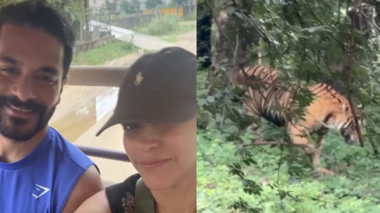 Tiger Safaris To Luxury Stays: How To Plan A Ranthambore Getaway Like Neha Dhupia