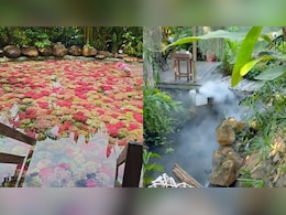 This Cafe In Vietnam Brings A Tropical Garden Escape To Ho Chi Minh City