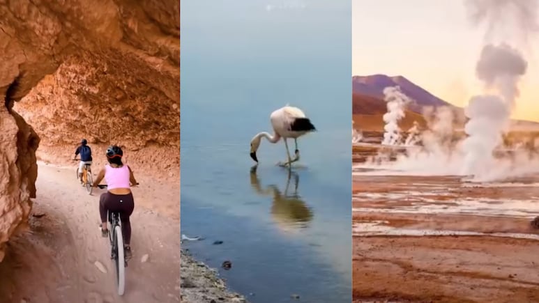 Driest Desert On Earth, Salt Lakes, Flamingos And Colourful Cities: Why Chile Feels Like Another World