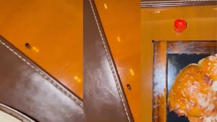 मुंबई के फाइव स्टार होटल में खाने के टेबल पर मिला कॉकरोच, मशहूर डॉक्टर सोशल मीडिया पर शेयर किया वीडियो