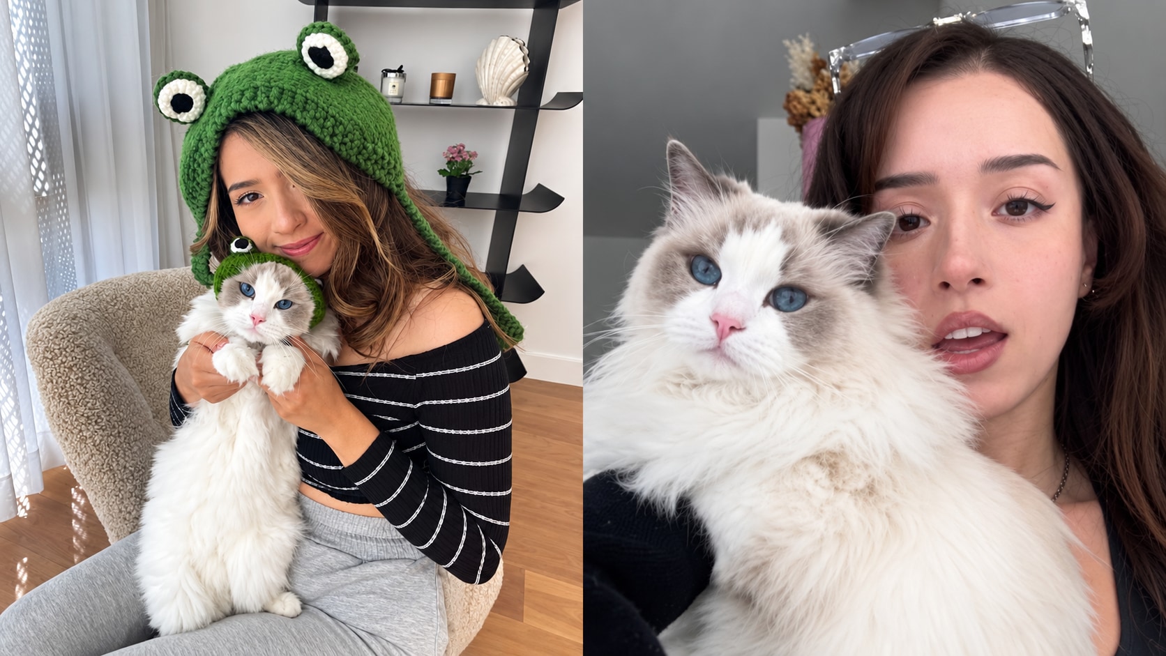 Pokimane Shares Heartbreaking News After 8-Year Old Cat Mimi Dies