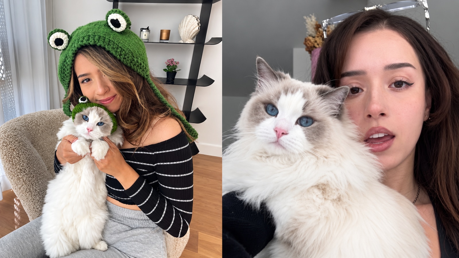 Pokimane Confirms Death Of Her Cat Mimi After Emergency Room Visit Ends In Heartbreaking News