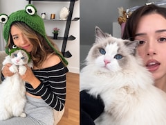 Pokimane Confirms Death Of Her Cat Mimi After Emergency Room Visit Ends In Heartbreaking News