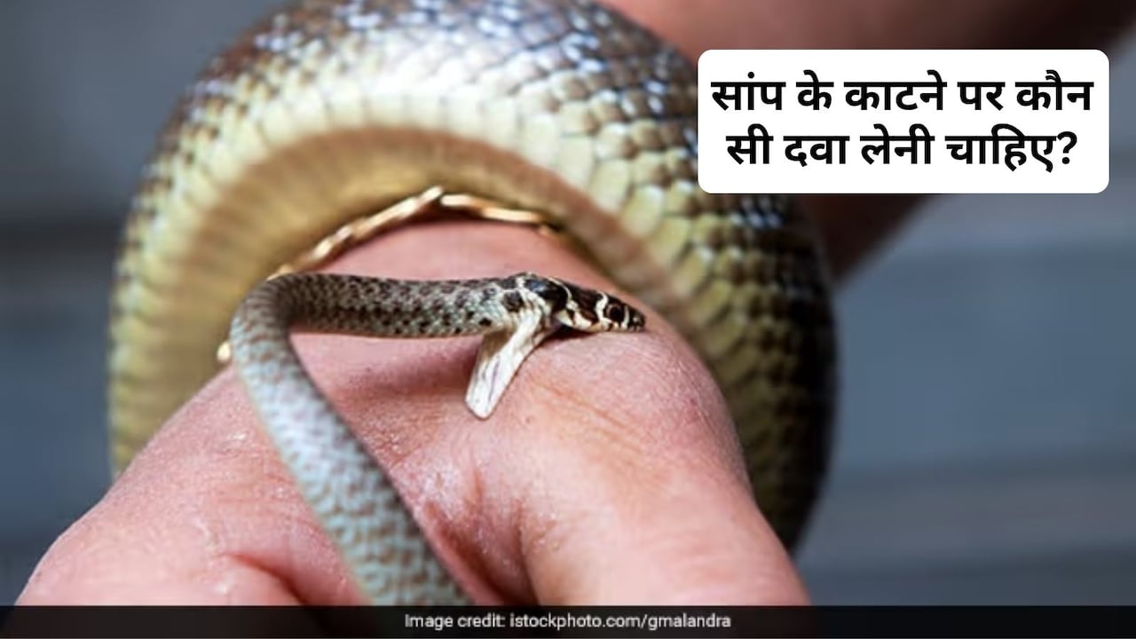 सांप के काटने के बाद तुरंत क्या करना चाहिए? सांप का जहर कैसे उतारे, जान‍िए यहां