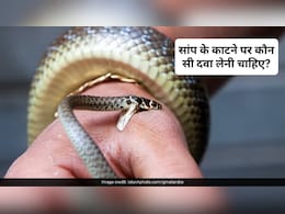 सांप के काटने के बाद तुरंत क्या करना चाहिए? सांप का जहर कैसे उतारे, जान&zwj;िए यहां
