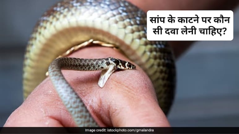 सांप के काटने के बाद तुरंत क्या करना चाहिए? सांप का जहर कैसे उतारे, जान&zwj;िए यहां