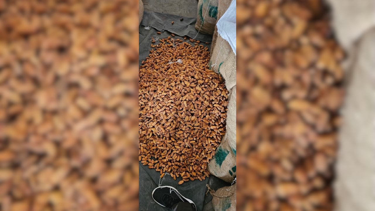 362 Metric Tonnes Of Pak Dates Hidden Behind UAE Labels Seized In Maharashtra