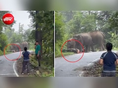 पौड़ी गढ़वाल में हाथियों का कहर! सड़क किनारे बाइक-स्कूटी को रौंद डाला, भागने लगे लगो- Video