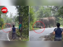 पौड़ी गढ़वाल में हाथियों का कहर! सड़क किनारे बाइक-स्कूटी को रौंद डाला, भागने लगे लगो- Video
