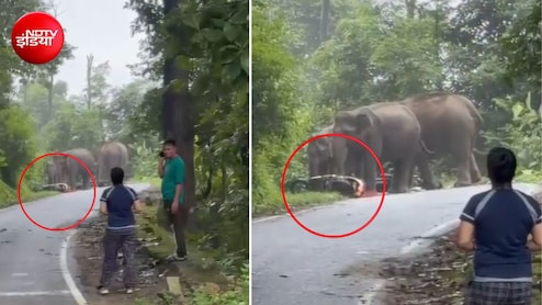 पौड़ी गढ़वाल में हाथियों का कहर! सड़क किनारे बाइक-स्कूटी को रौंद डाला, भागने लगे लगो- Video