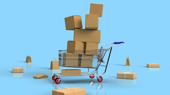 E-Commerce Firm Fined Rs 10 Lakh For Listing Explosive-Making Component