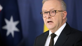 OpenAI Agent Hacked Australian Government Website, Albanese Says