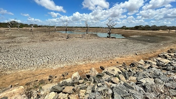 El Nino Threat Extends To Winter Crops, Rate Hike May Be Needed: Citi India Chief Economist