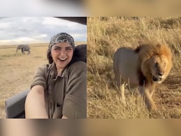 Anshula Kapoor Enjoys A Scenic Safari In Kenya's Masai Mara, How You Can Visit Too