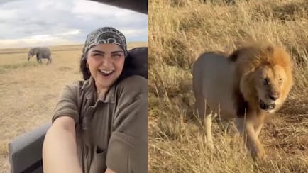 Anshula Kapoor Enjoys Safari In Kenya's Masai Mara, How You Can Visit Too